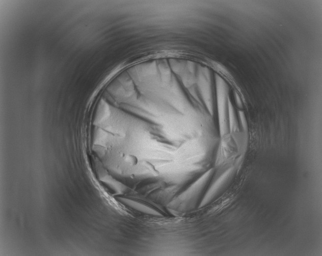 X0000052940859200507300016