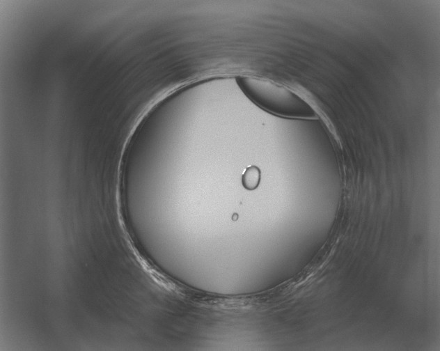 X0000052940861200507300016