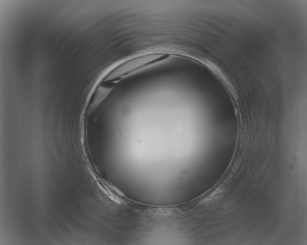 X0000052940862200507300016