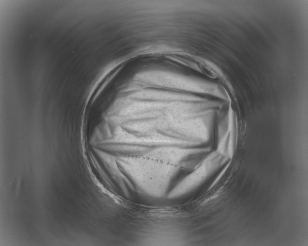 X0000052940863200507300016