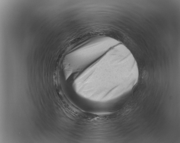 X0000052940868200507300016