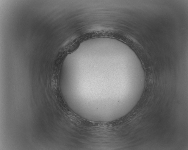 X0000052940869200507300016