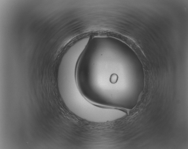 X0000052940871200507300015