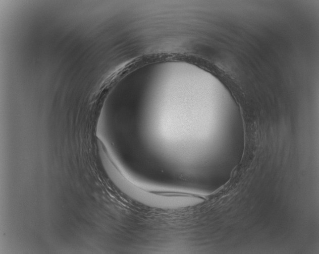 X0000052940872200507300015