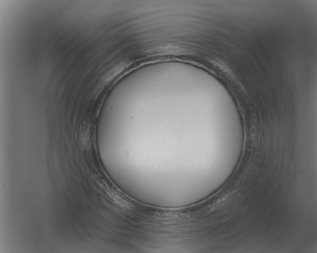 X0000052940873200507300015