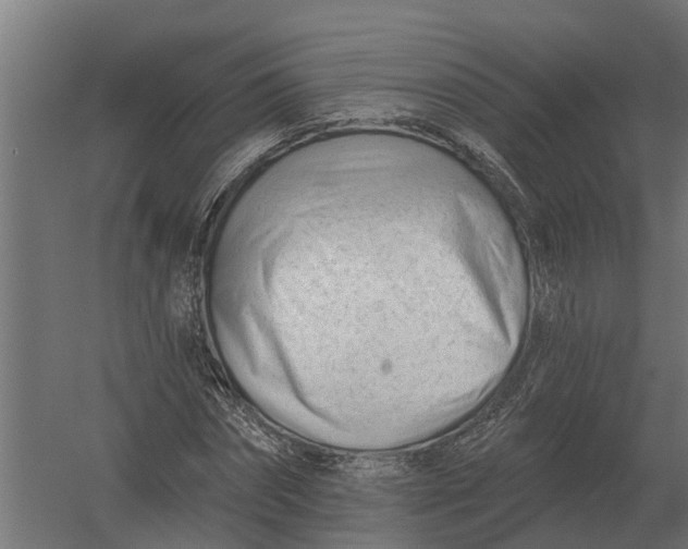 X0000052940874200507300015