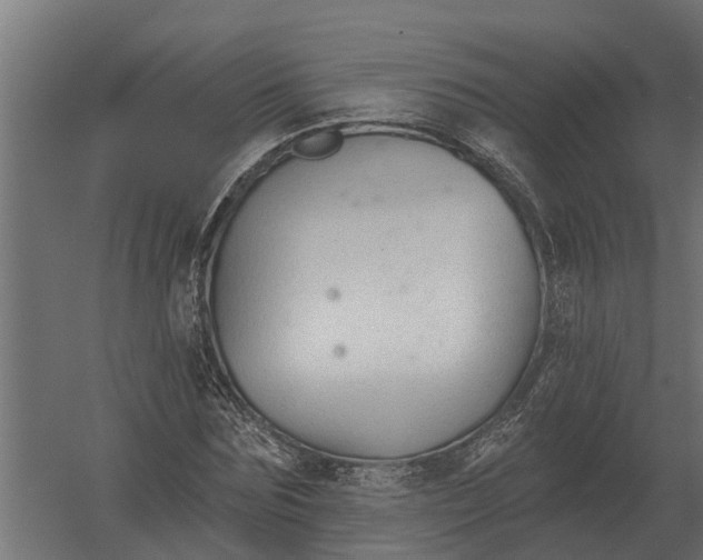 X0000052940875200507300015