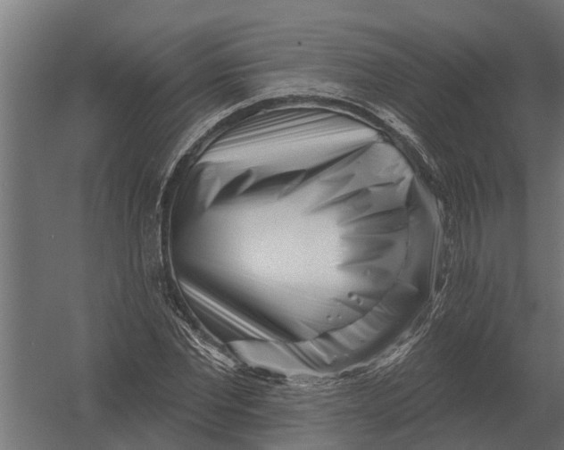 X0000052940877200507300015