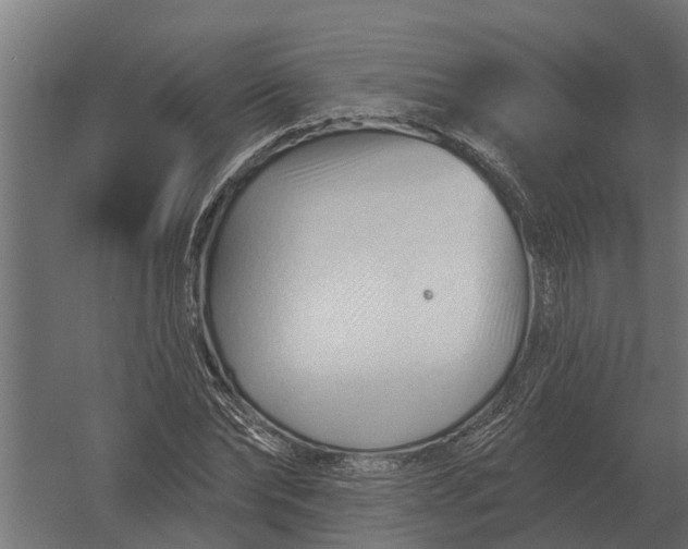 X0000052940878200507300015