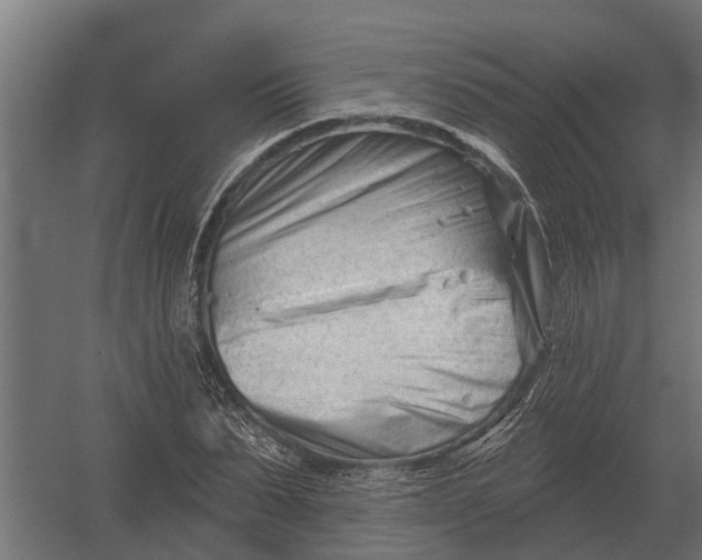 X0000052940879200507300015