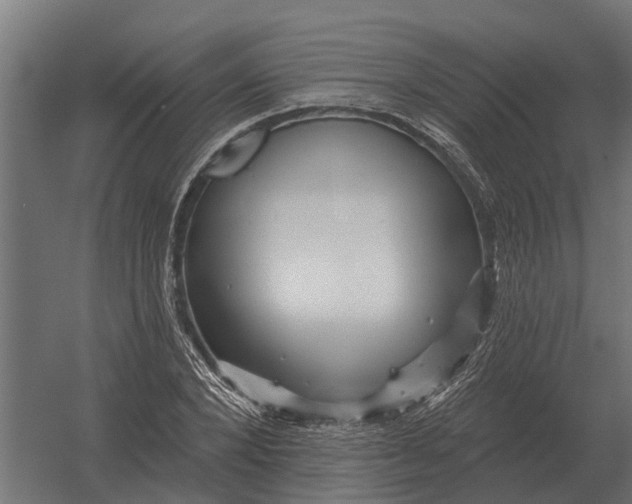 X0000052940880200507300015