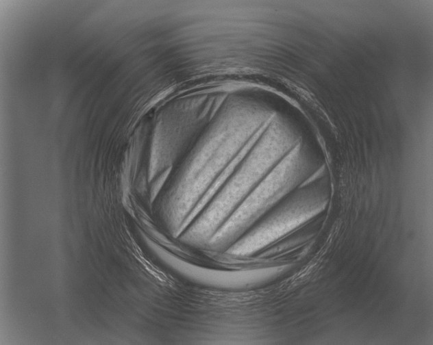 X0000052940881200507300015