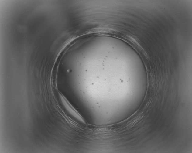 X0000052940883200507300015