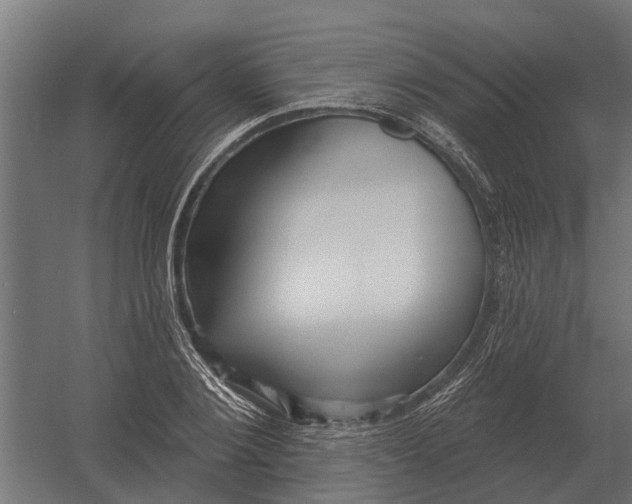 X0000052940884200507300015