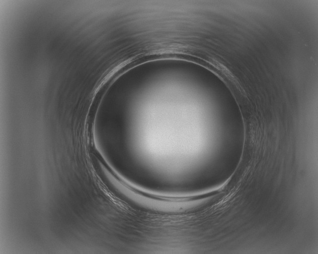 X0000052940885200507300015