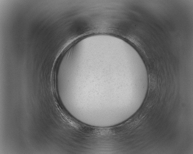 X0000052940886200507300015