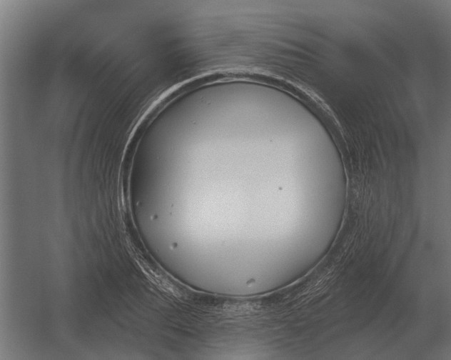 X0000052940887200507300015