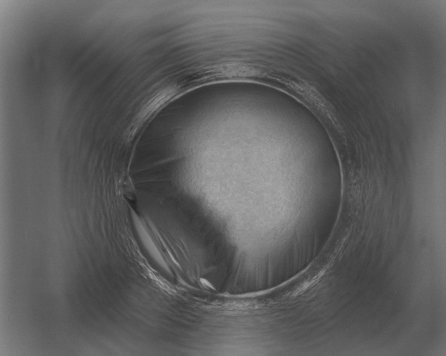 X0000052940889200507300015