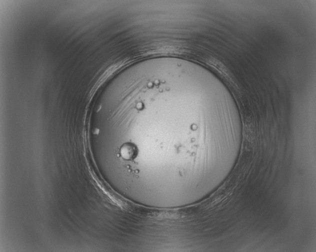 X0000052940890200507300015