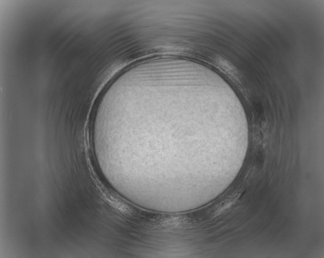 X0000052940891200507300015