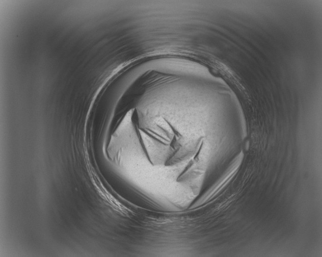 X0000052940892200507300015