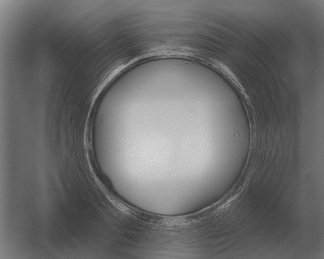 X0000052940893200507300015