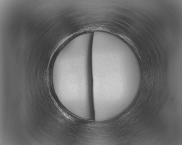 X0000052940894200507300015