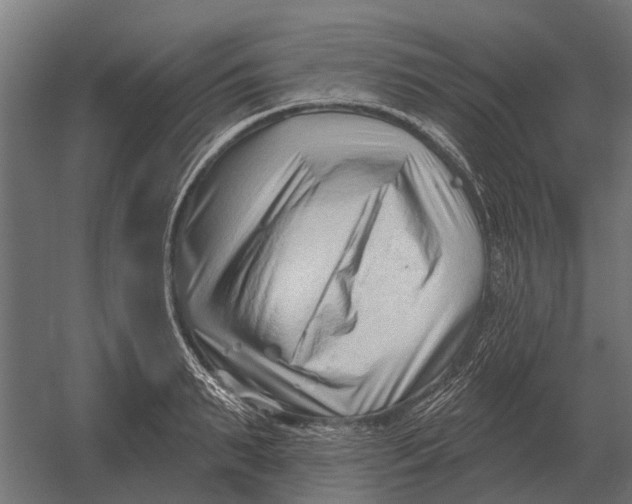 X0000052940895200507300015