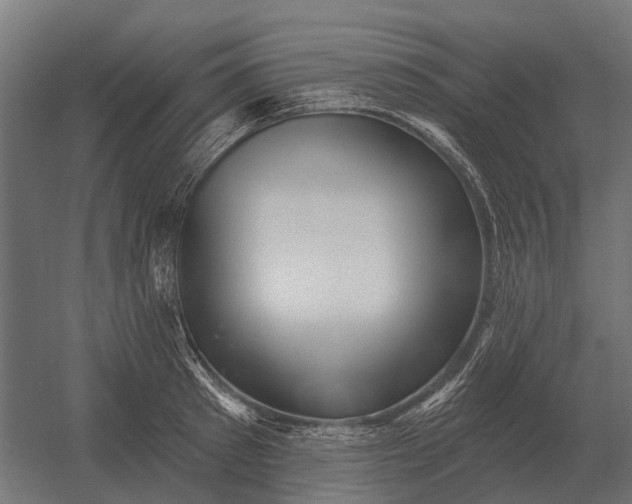 X0000052940897200507300015