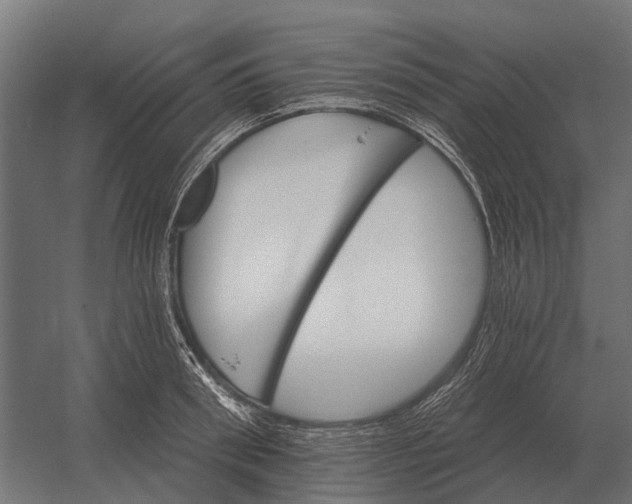 X0000052940898200507300015