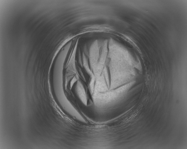 X0000052940899200507300015