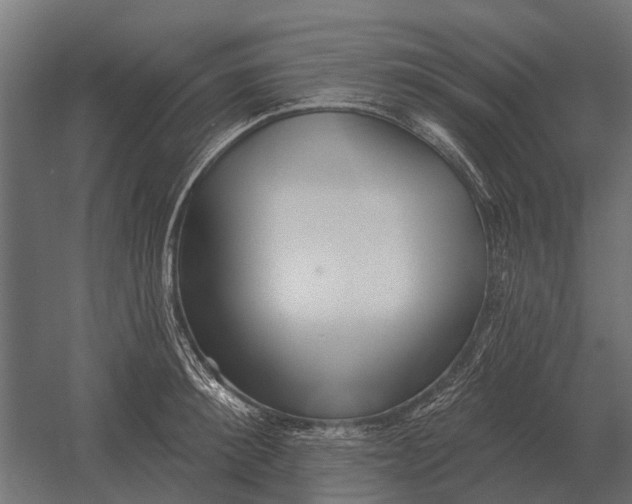 X0000052940900200507300015