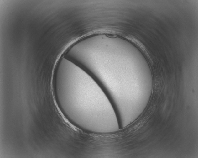 X0000052940902200507300015