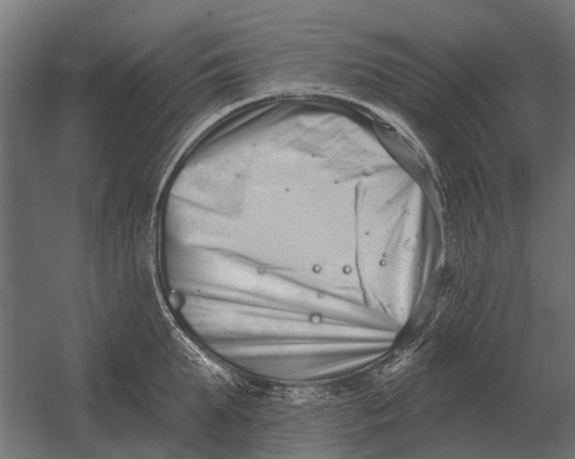 X0000052940903200507300015