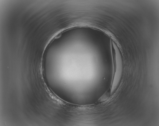 X0000052940904200507300015