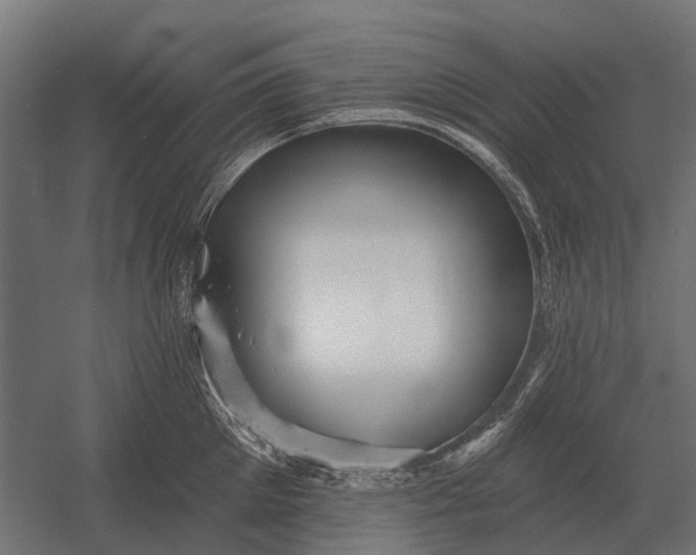 X0000052940905200507300015