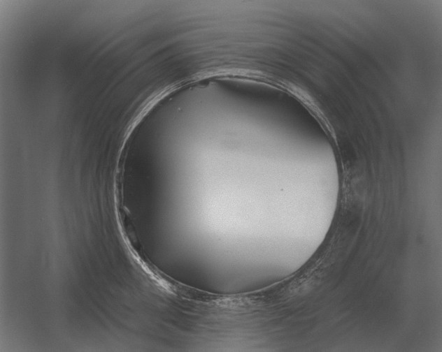 X0000052940906200507300015