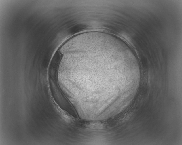 X0000052940907200507300015