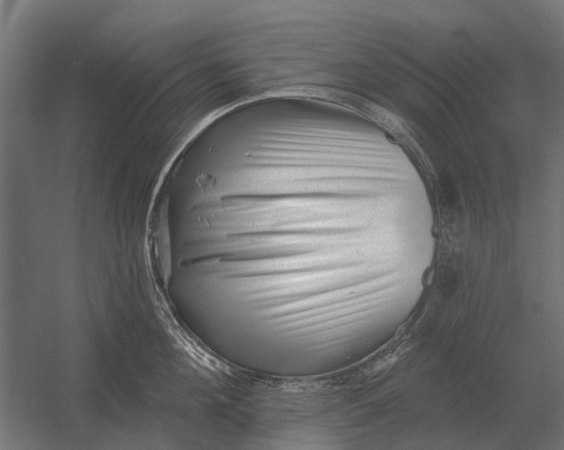 X0000052940908200507300015