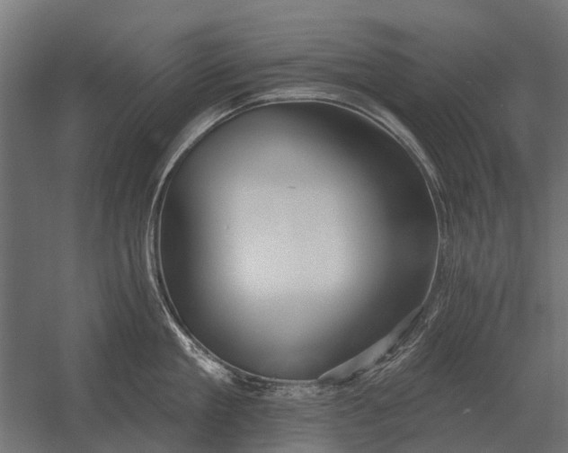 X0000052940909200507300015