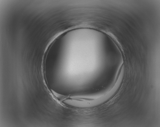 X0000052940910200507300015