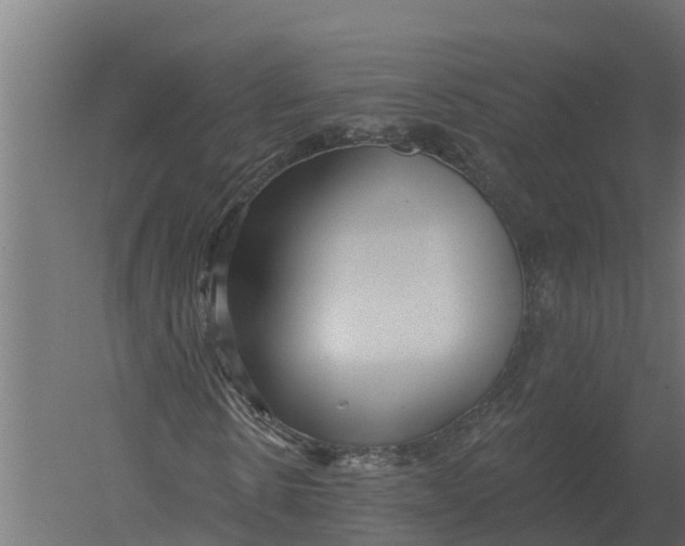 X0000052940914200507300014