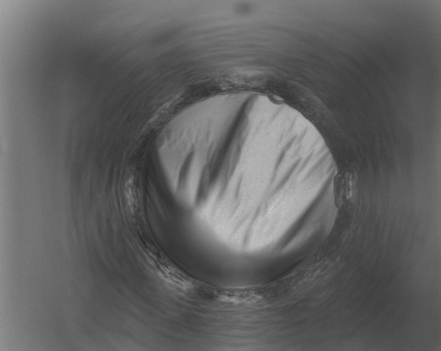 X0000052940915200507300014