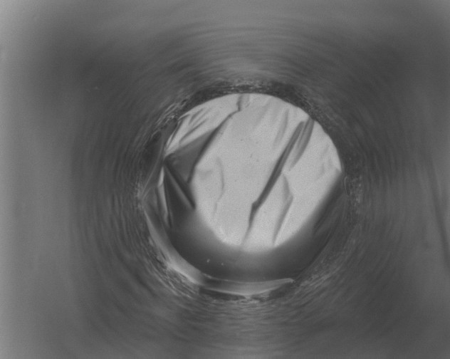 X0000052940916200507300014