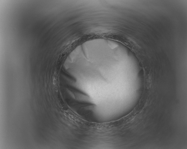 X0000052940917200507300014