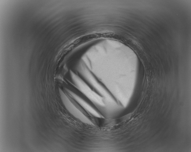 X0000052940920200507300014