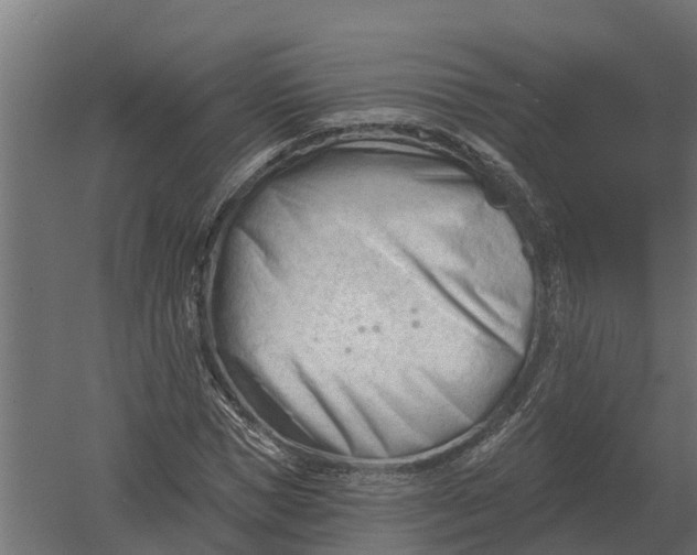 X0000052940921200507300014