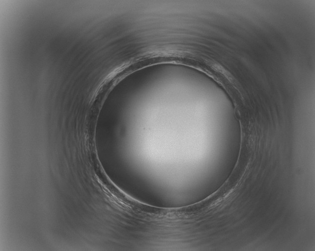 X0000052940922200507300014