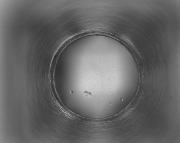 X0000052940924200507300014