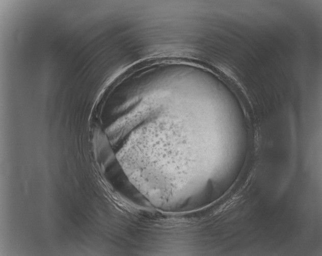 X0000052940925200507300014